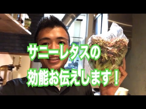 玉レタスの10倍の栄養！サニーレタスの効能お伝えします！！