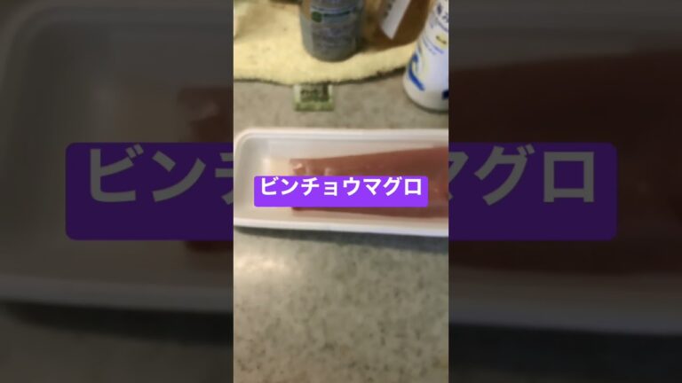 ビンチョウマグロ頂きます。　#shorts  #japan  #おつまみ  #マグロ