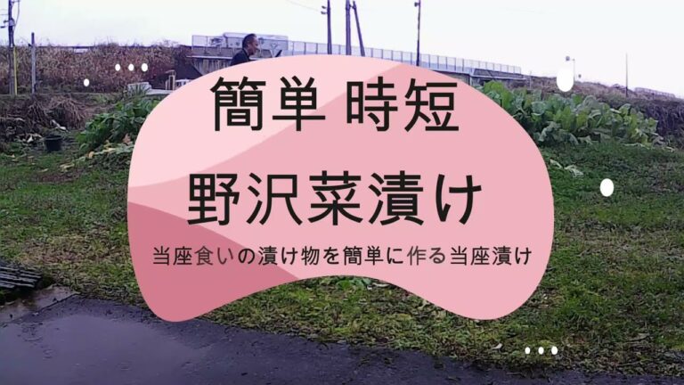 美味しい漬け物　野沢菜当座漬け 超簡単　時短漬け物　野沢菜を漬けよう　秋野菜　越冬漬け物　簡単漬け物