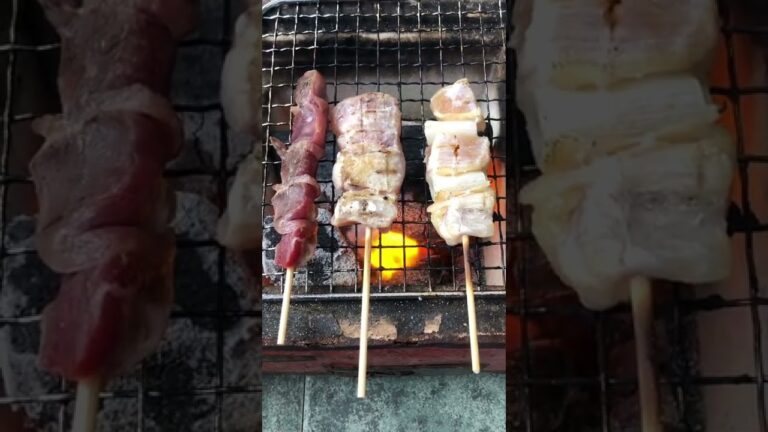 【キャンプ飯】イオンの冷凍焼き鳥を炭火で焼く【炭火】　#shorts