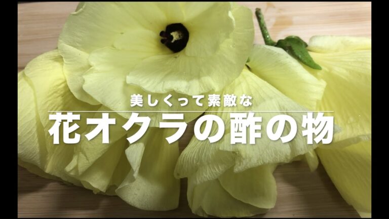 テンション上がる花オクラの酢の物【笑顔のエプロンしあわせご飯】　野菜市場で見かける美しい花オクラ　つい買ってしまいます。酢の物で楽しみましょう。