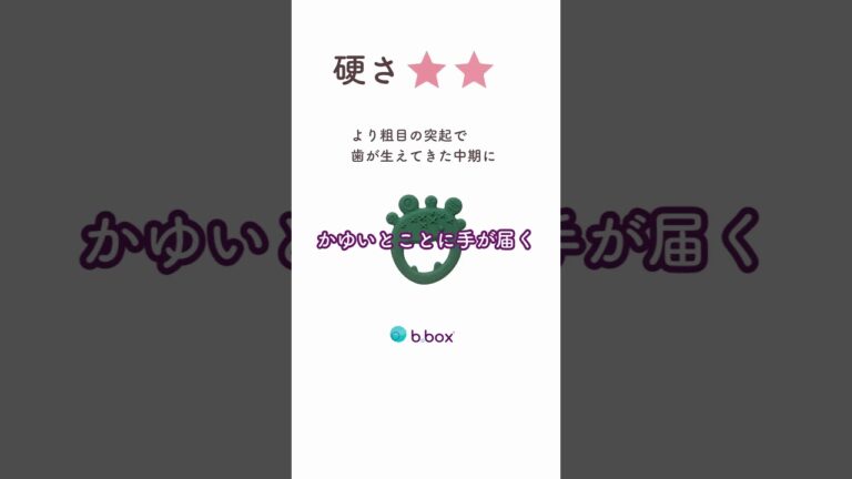 b.box 僕たち歯固めモンスター