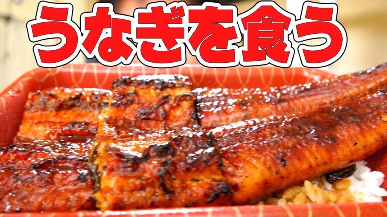 【土用の丑の日】うな重を爆食！！【宇奈とと】