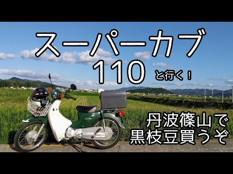 【ついに解禁！丹波篠山黒枝豆】スーパーカブ110で買い出しに行きます！