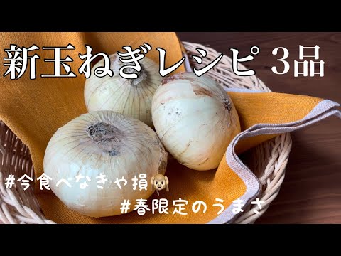 【春の新玉ねぎ】新玉ステーキハンバーグ/新玉のほっこりポタージュ/新玉マヨポン酢和え
