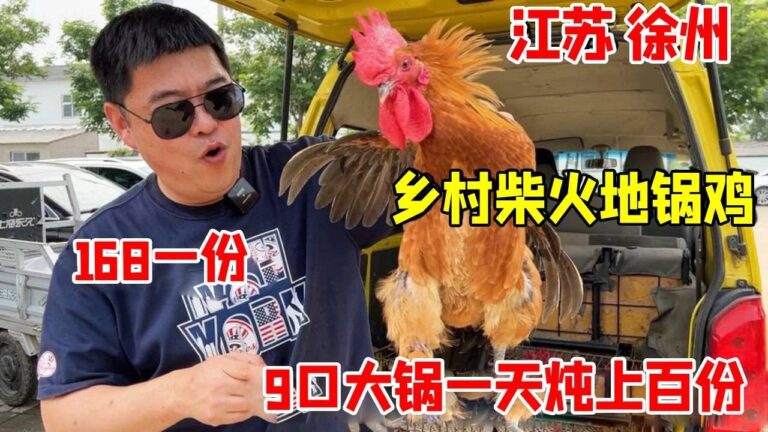 江苏徐州乡村柴火地锅鸡，168一份送四菜，9口大锅一天炖上百份【好食勇哥】