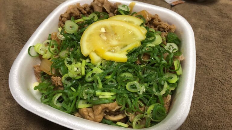 すき家　ねぎ塩レモン牛丼　新商品