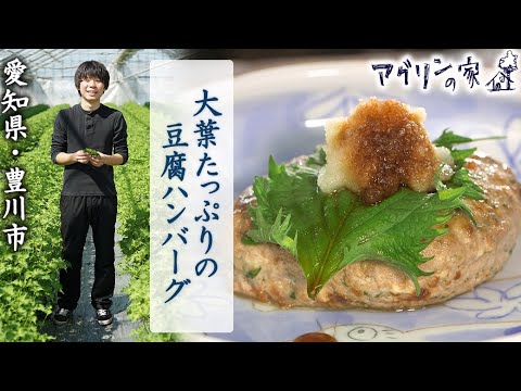 【アグリンの家】62 愛知県・豊川市「大葉たっぷりの豆腐ハンバーグ」