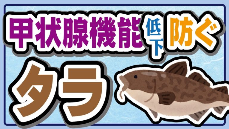 タラ(鱈)の栄養、効果！？その中身を解説します！
