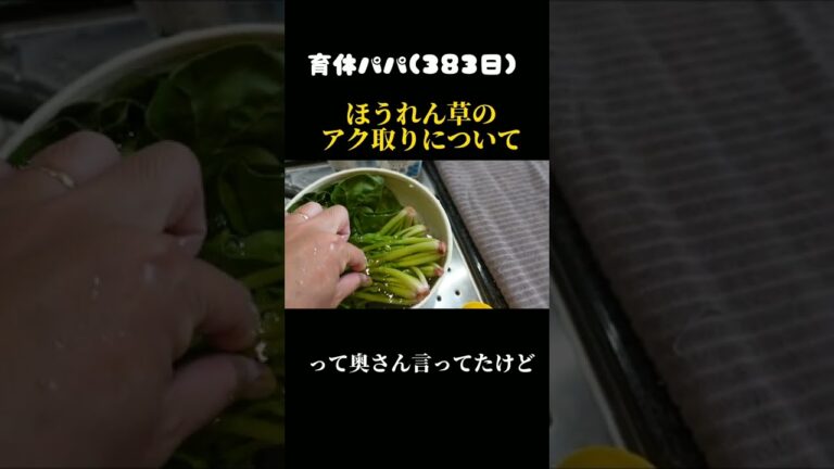 育休パパの呟き #育休 #パパ #料理 #ほうれん草 #アク取り#shorts #1日 #水