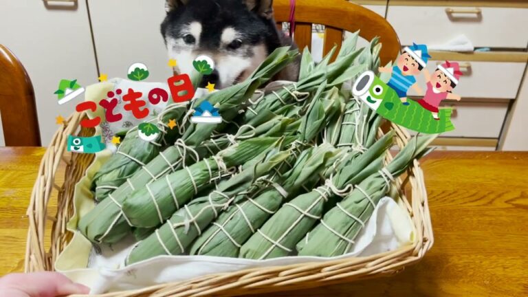 端午の節句🎏ちまきを作ったよ【子供の日】Dragon Boat Festival Chimaki making🎏ड्रैगन बोट फेस्टिवल चिमाकी मेकिंग🎏