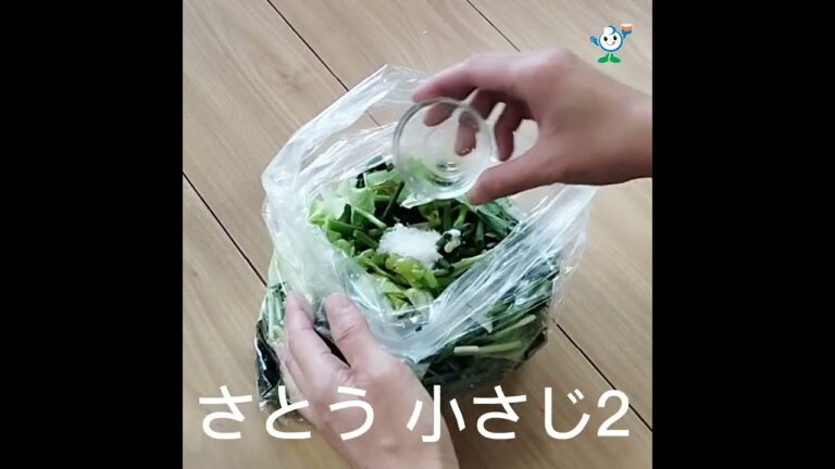 【管理栄養士作成の健康づくりレシピ】113.青ねぎとわかめのチョレギサラダ