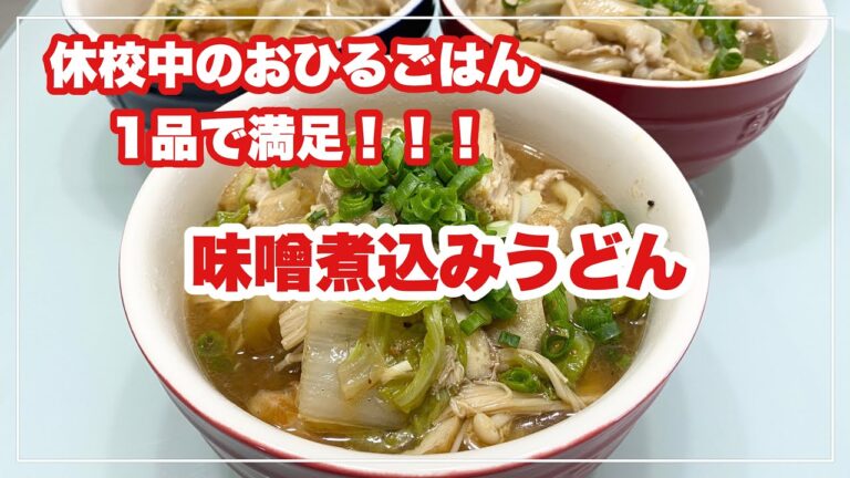 【おひるごはん】1品で満足/味噌煮込みうどん