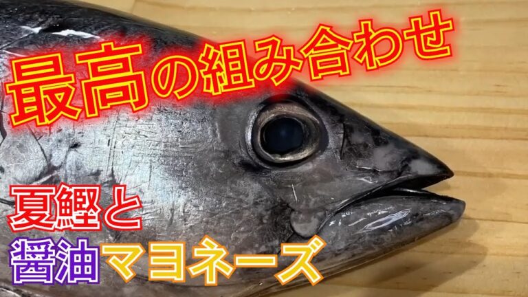 完全にさばき方失敗｜ボツにしようか迷ったけど投稿｜醤油マヨネーズが最高｜一色さかな村で1000円のカツオを購入｜夏のカツオはサッパリしていて美味しい｜家で捌くならこれくらい小さなカツオの方が良いかも