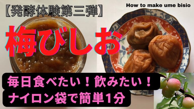 【発酵体験第三弾】『梅びしお』毎日食べたい！飲みたい！ナイロン袋で簡単１分。体調不調の時に効果発揮。自然のお薬とも言われる梅びしお茶。【How to make ume bisio】