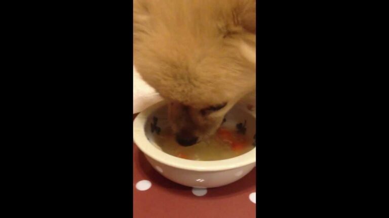 とろっとろ冬瓜の鶏手羽スープ