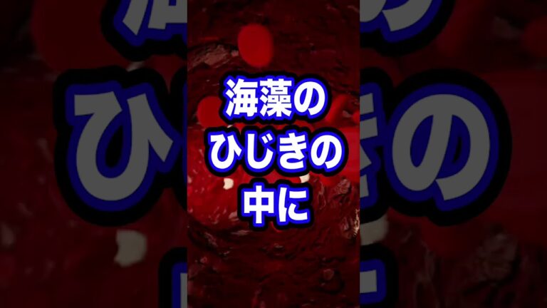 【暴露】ひじき食ってるヤツ全員バカ