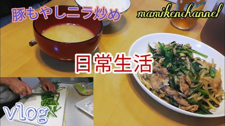 【日常生活】　今日の夕食 / 豚もやしニラ炒め　　【簡単料理・vlog】