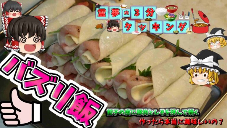 【料理】twitterのバズリ飯、餃子の皮に豚肉としそを挟んで焼く【ゆっくり料理】