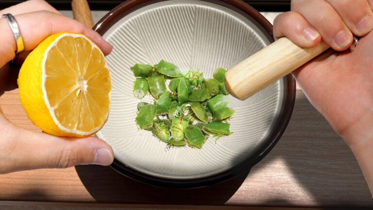 カメムシ潰してレモン絞るとコーラの香りになる【ENG SUB】