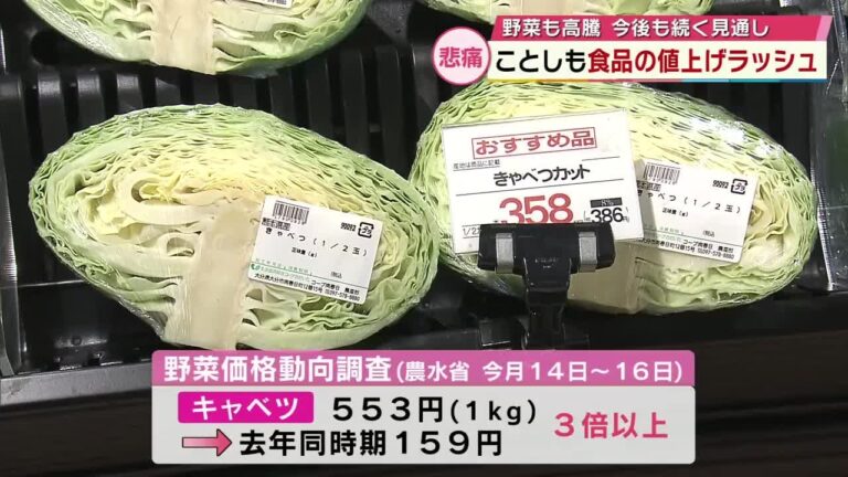 キャベツ1玉553円　2024年を上回る値上げラッシュ　調理師目指す学生にも影響「支払う実習費増」