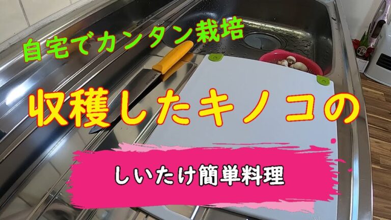 【簡単料理】 収穫した『しいたけ』を使って今夜の一品    -  LEAD