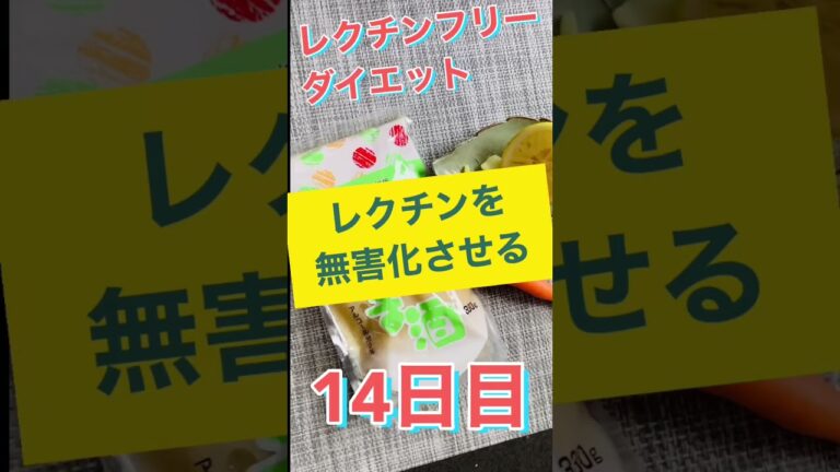 【レクチンフリーダイエット１４日目】甘酒スムージー　体験記＆実践アイデア　腸活でリーキーガットを修復「食のパラドックス」