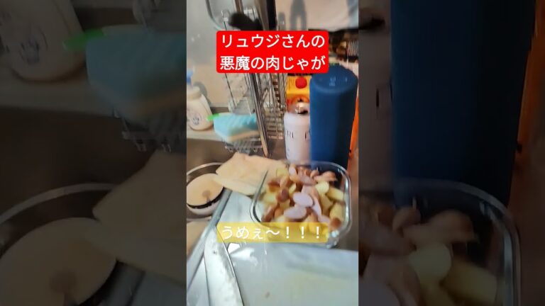 リュウジさんの悪魔の肉じゃが 簡単で最高すぎる #リュウジのバズレシピ #肉じゃが #バズレシピ #酒豪先生