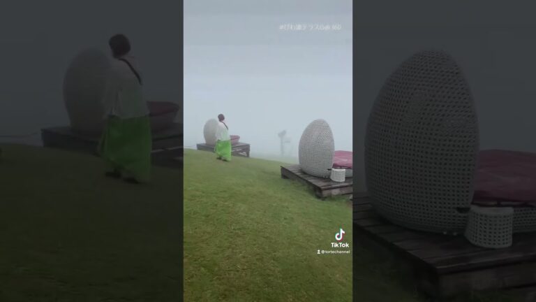 【絶景びわ湖バレイ】犬連れ天空旅🐶【滋賀県・びわ湖テラス・犬旅・神秘的】トイプードルのトルテくんの夏の思い出🐶 【TikTok】