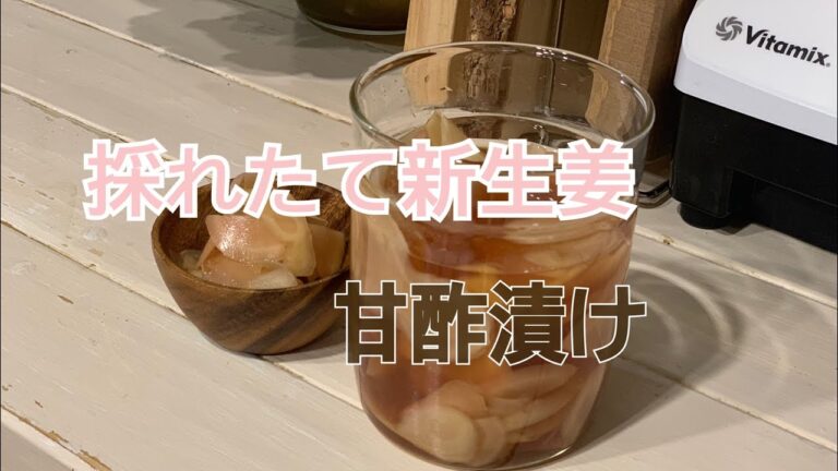 新生姜の甘酢漬け