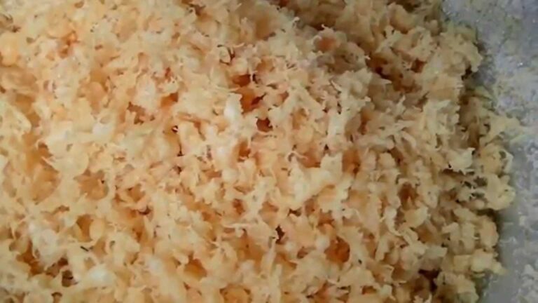 美味しい天ぷら粉でできる　揚げ玉・天かす　手打ちそば長幸（松戸市、北松戸）