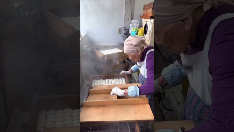 94歳のおばあちゃんが作る1本100円のみたらし団子🍡 #愛知グルメ