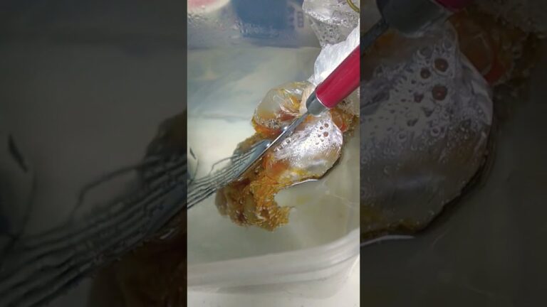 スジ肉低温調理してみる