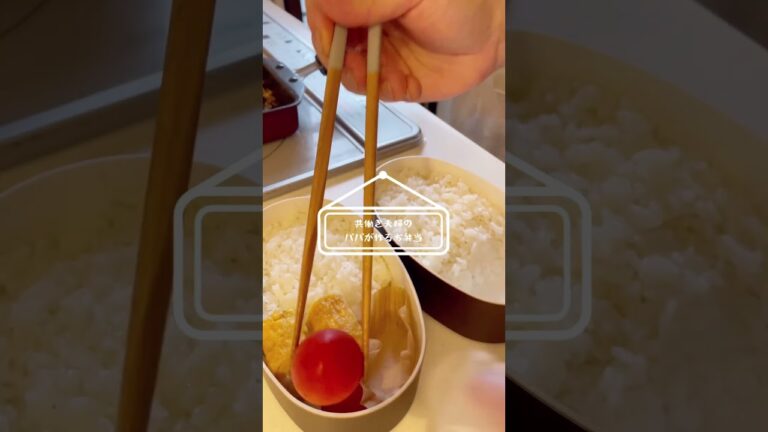 【茄子の肉味噌炒め】愛妻に作るお弁当の記録🍱2023/3/24 #shorts