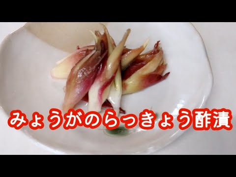 「みょうがの酢漬け」簡単！おいしい！おかずに 酒の肴 みょうがの大量消費 旬の野菜 みょうがのレシピ 茗荷料理 ミョウガ 作り方