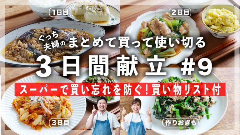 ３日分の献立をまとめて用意しました！鶏肉や魚を使ったごはんがすすむおかずがたっぷり！【チェックボックス付きの便利な買い物リスト付き】