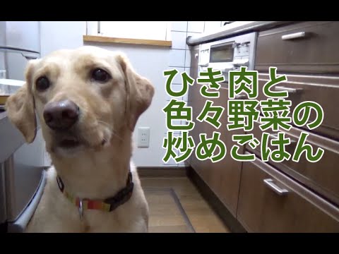 大型犬の手作りご飯：ひき肉と色々野菜炒めごはん