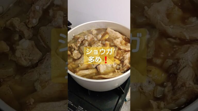 秘技🔥豚バラ軟骨のホロホロ煮🧄レシピ