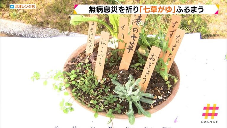 無病息災祈り「七草がゆ」ふるまう