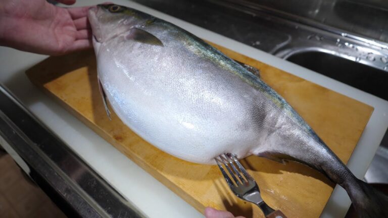 病気？食べすぎ？奇形？異常なまでにお腹が膨れた『ハマチ』のお腹の中から出てきた物が意外すぎた！