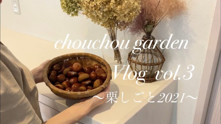 【暮らしVlog】〜栗仕事2021〜　栗の渋皮煮／庭のアナベルとスモークツリーでリース作り