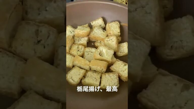 栃尾揚げ、最高の油揚げ、大豆タンパク質すげえ