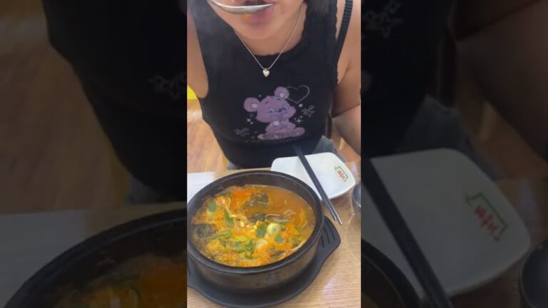 Korean spicy soup 韓国　ユッケジャン