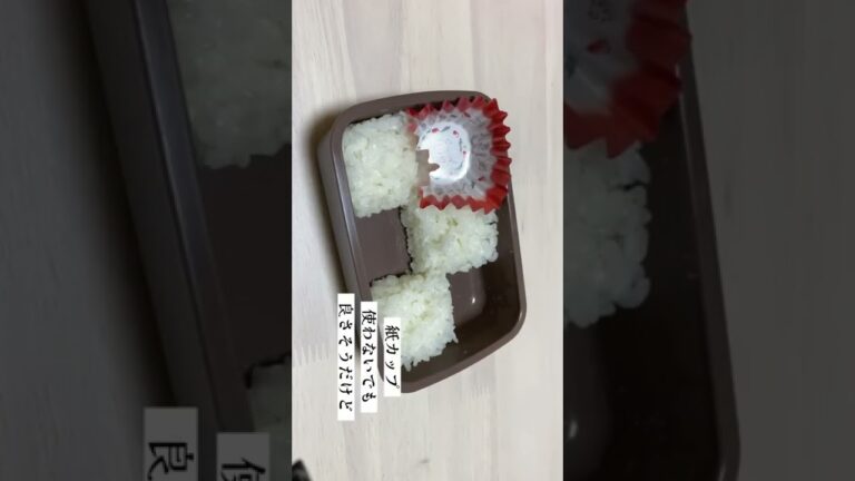 簡単【可愛いお弁当】の詰め方 手作りえびフライ 煮込みハンバーグ だし巻き玉子のおかずの日╱スヌーピー弁当