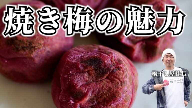 【200万再生】焼き梅の健康効果と活用法を徹底解説します