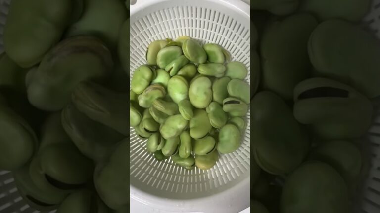 1分でわかる意外と知らない🥹そら豆の下処理とゆで方🥹 #料理 #料理レシピ #簡単レシピ #旬の食材 #そら豆