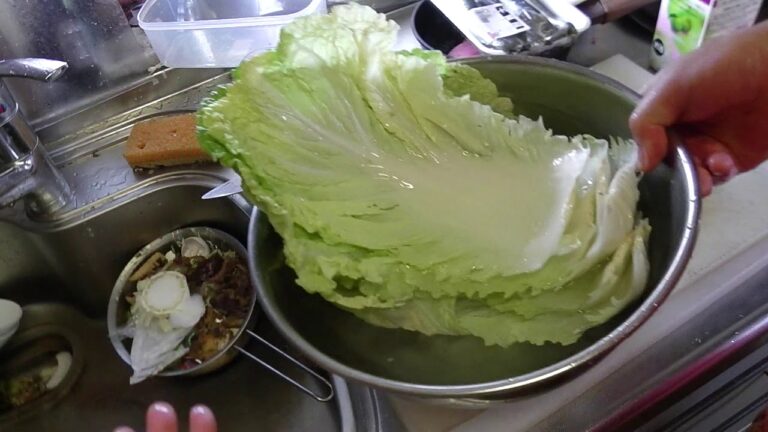 幸運な病のレシピ（ 1243 ）朝：白菜ロール（鶏・豚・人参、新タマネギとキノコのおでんスープ）、ピザオムレツ（パンと新玉ねぎ）