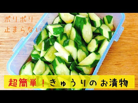 【ポリポリ止まらない！】簡単に出来るキュウリのお漬物♪