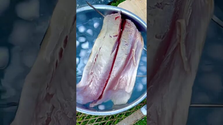 【超絶品】ハガツオのタタキ/夏のキャンプ飯 #camping