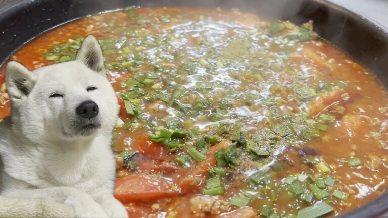 ご飯にかけて食べる麻婆トマト＆辛いのはパスな柴犬
